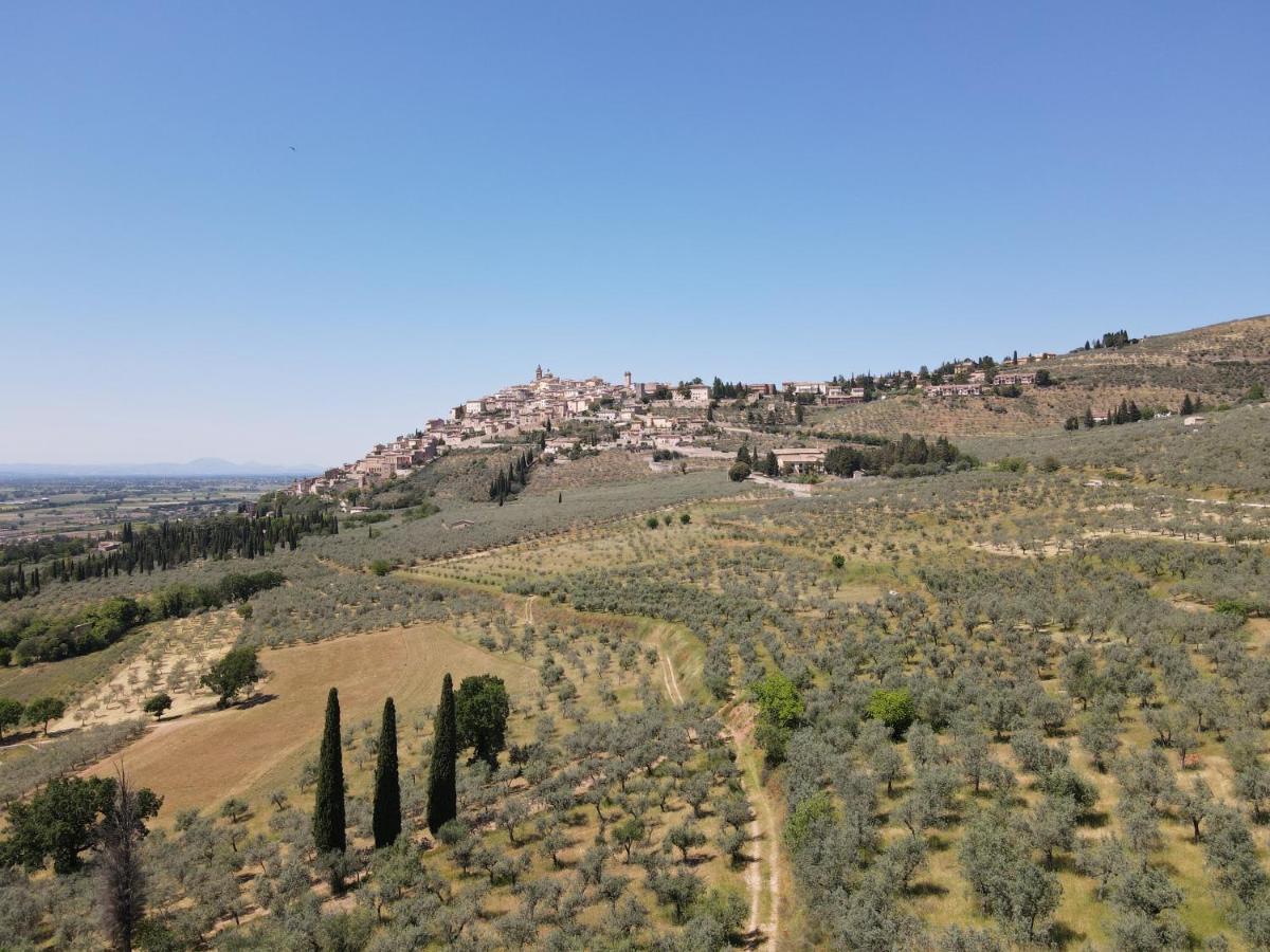 Corte Fratini Appartamenti Trevi Bagian luar foto